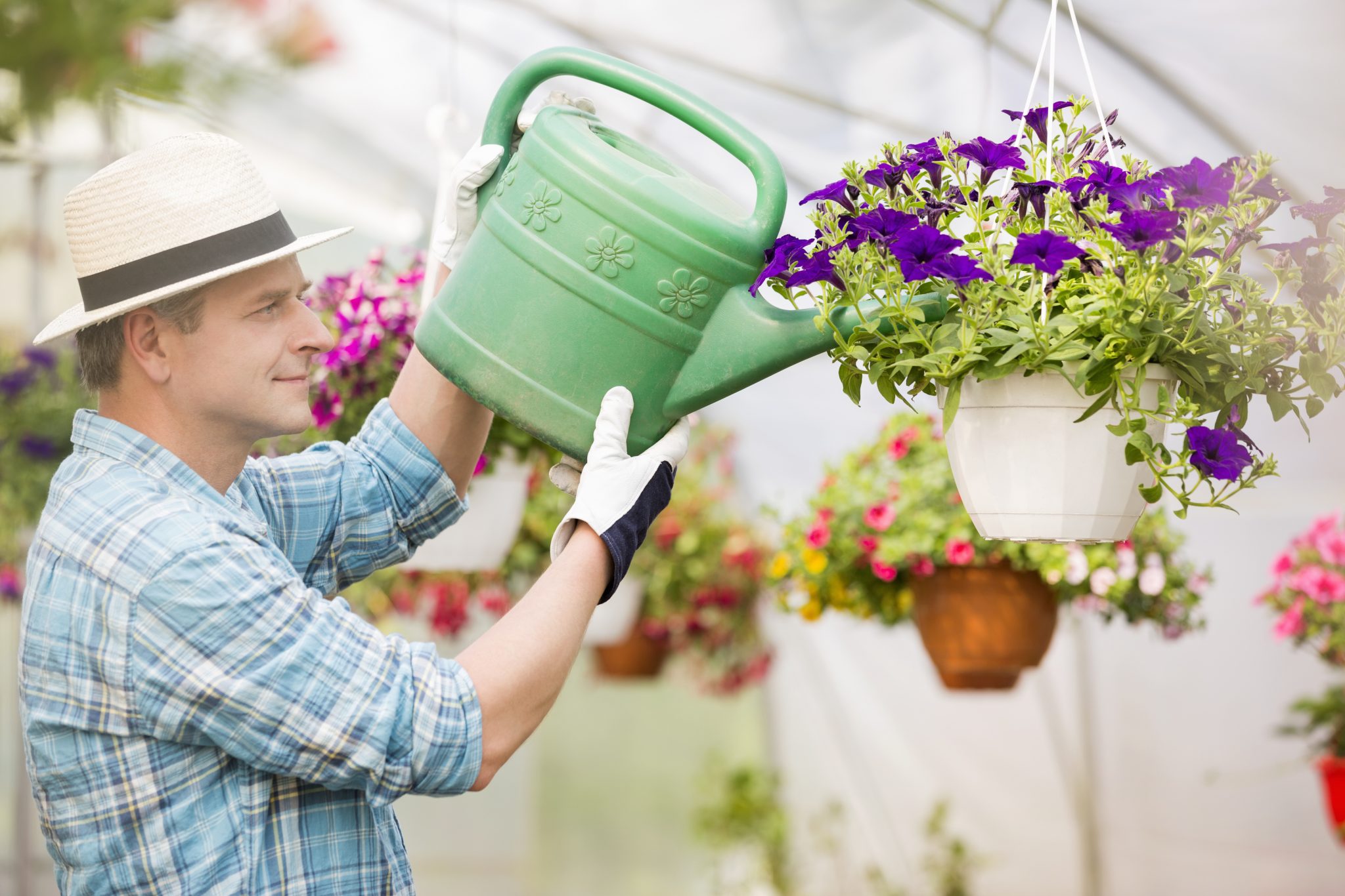 jardinero regando