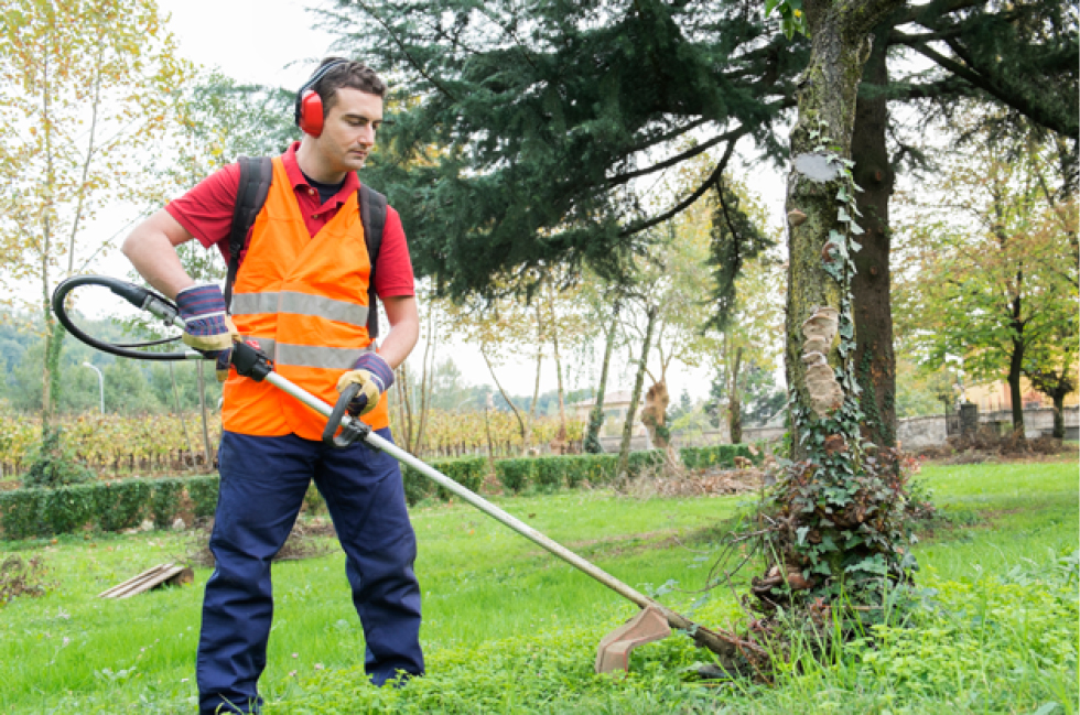 Profesional de la jardinería cortando el cesped en un jardín comunitario